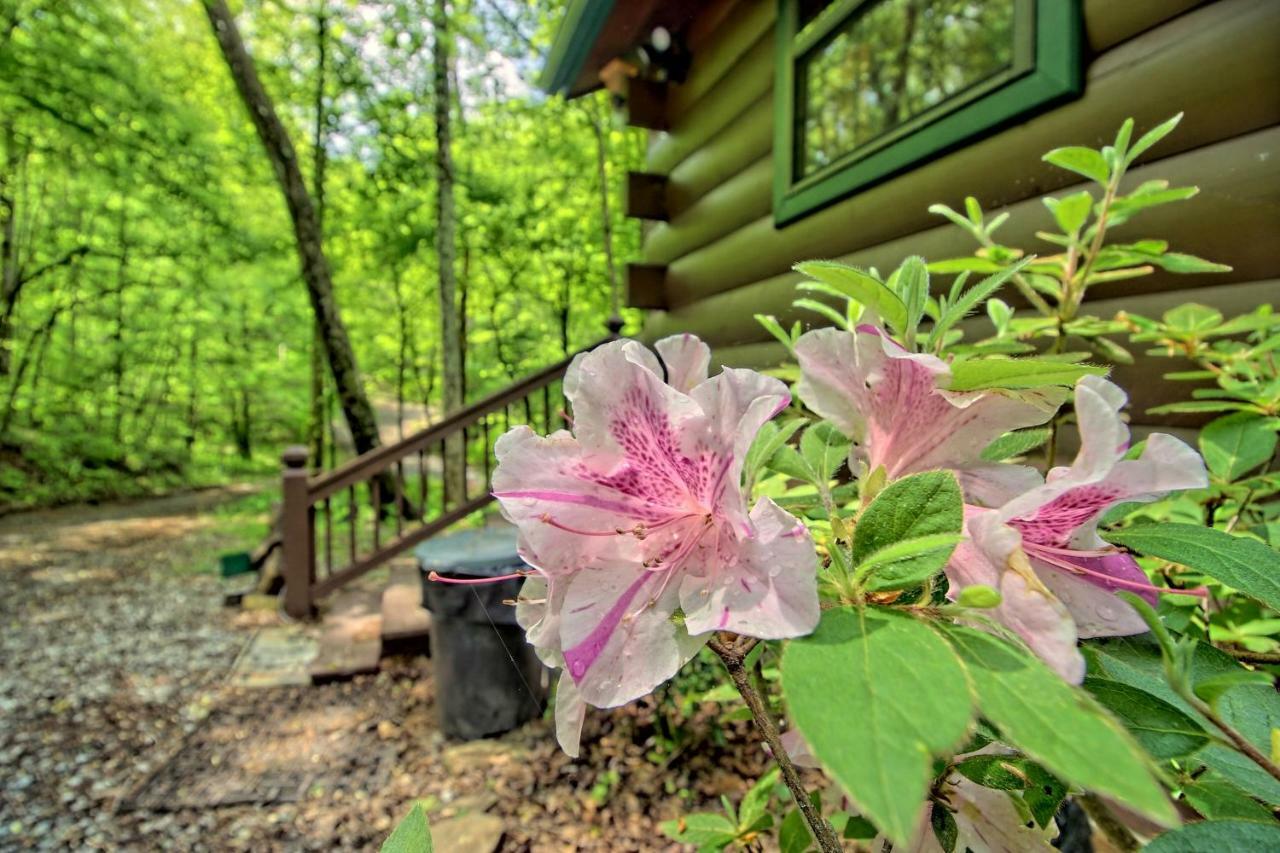 Tree Song Mountain Creek Cabin Villa Ellijay Exterior photo